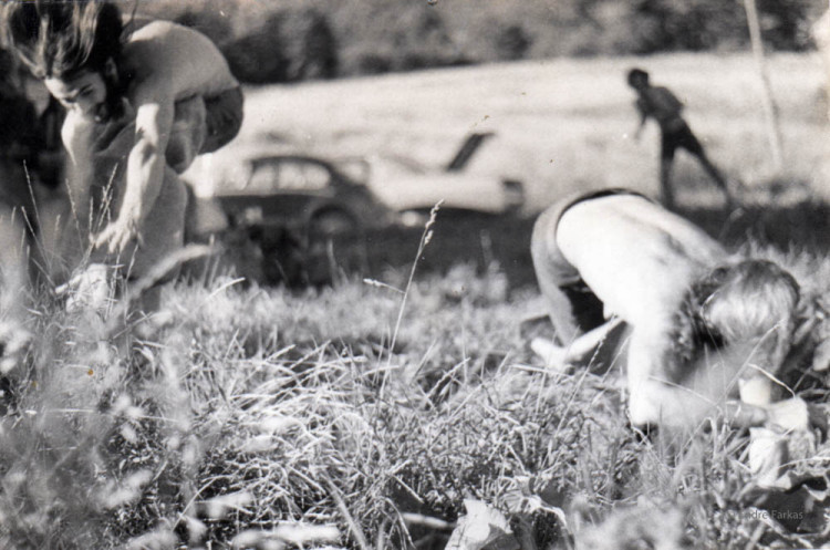 Meatball Creek Farm commune, early 1970s. 